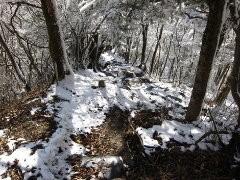 20191129hike (247)